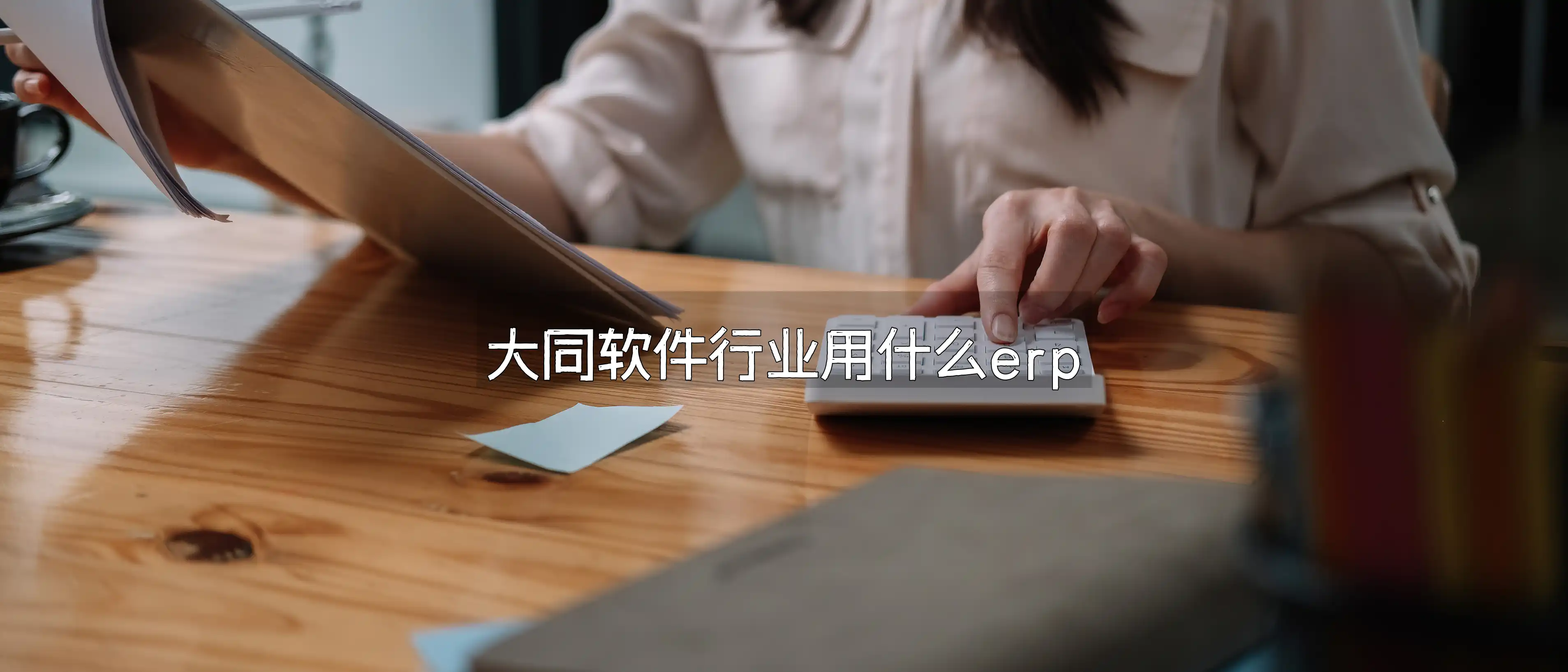 大同软件行业用什么erp